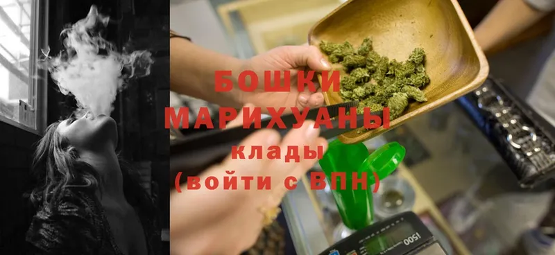 как найти наркотики  Нижнеудинск  mega   Конопля White Widow 